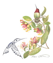 Anna's & Honey
